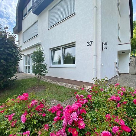 Neu: Ferienwohnung Zum Nussbaum - Landhausstil & Moseltalblick Трабен-Трарбах Екстер'єр фото