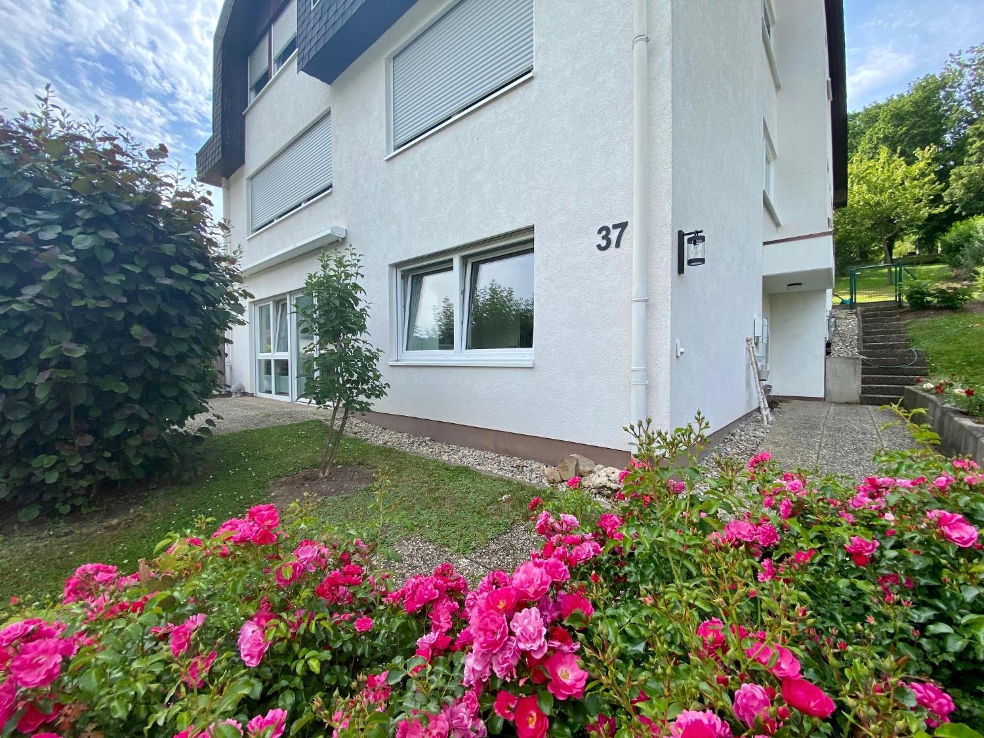 Neu: Ferienwohnung Zum Nussbaum - Landhausstil & Moseltalblick Трабен-Трарбах Екстер'єр фото